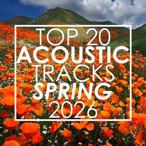 Top 20 Acoustic Tracks Spring 2026 (Instrumental)