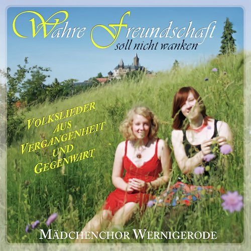 Wahre Freundschaft soll nicht wanken_poster_image