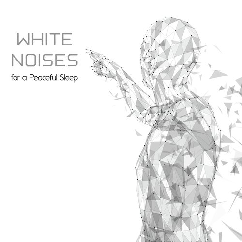 White Noises for a Peaceful Sleep - Have a Nice Dream, Moon Shadow, Bedtime Music, Insomnia Relief, Pure Relaxation, Stress Free