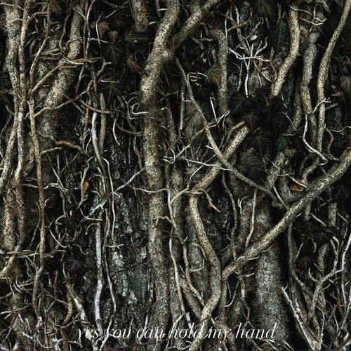Yes You Can Hold My Hand (Slowed and Reverb Remix)