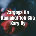 Zargaya Da Kamakal Tob Cha Kary Dy