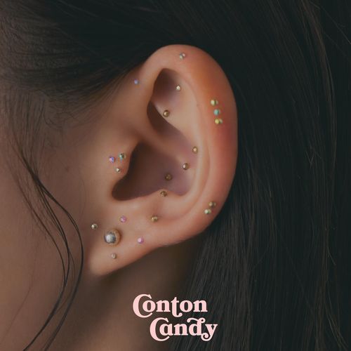 koi cover art