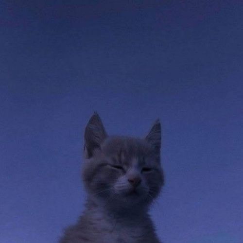misery. (8D Audio)