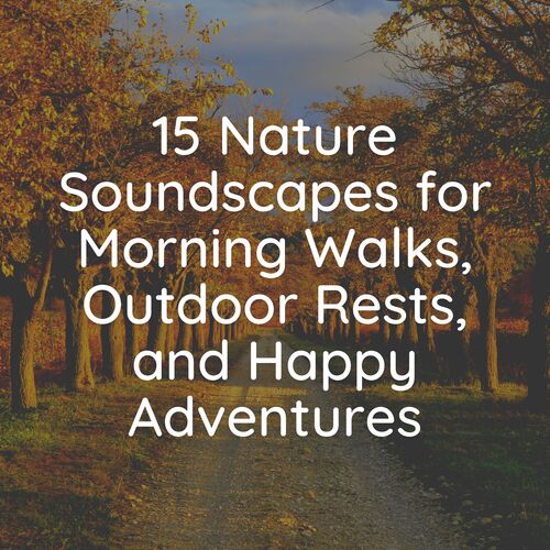 15 Nature Soundscapes for Morning Walks, Outdoor Rests, and Happy Adventures