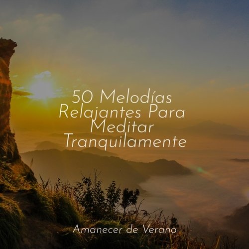 50 Melodías Relajantes Para Meditar Tranquilamente