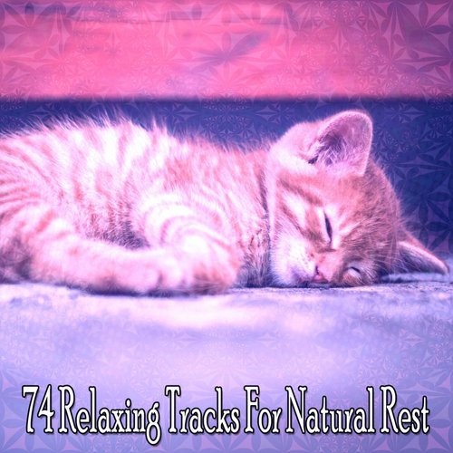 74 Relaxing Tracks For Natural Rest