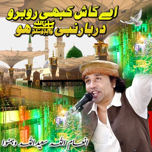 Ae Kash Rubaru Kabhi Darbar e Nabi Ho