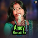 Amay Bhasaili Re
