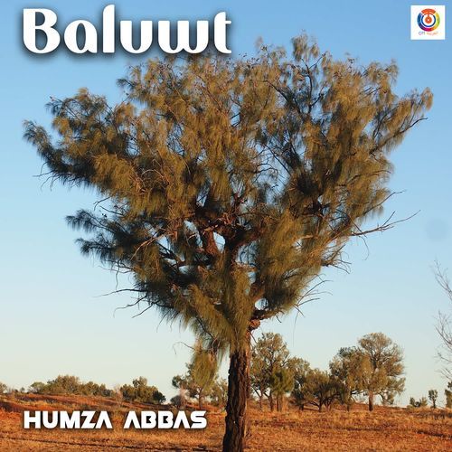 Baluwt