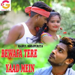 Bewafa Tere Yaad Mein-GlAqaRd,ZHE