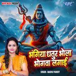 Bhangiya Dhatur Bhola Bhogwa Lagayi