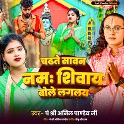 Chadhte Sawan Namah Shivay Bole Laglai