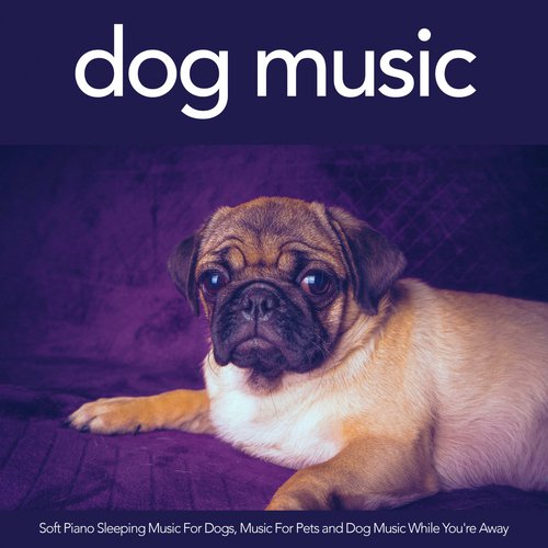 Music For Pets