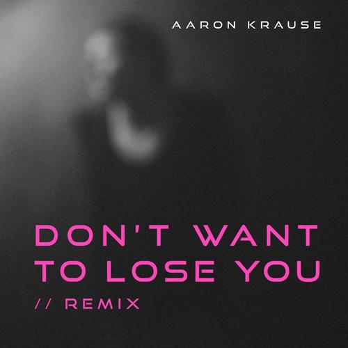 Don't Want to Lose You (Remix)