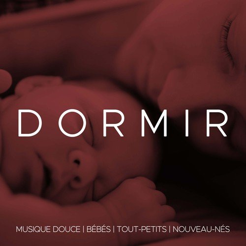 Effet Mozart Song Download From Dormir Musique Douce Bebe Apaisante Pour Dormir Jiosaavn