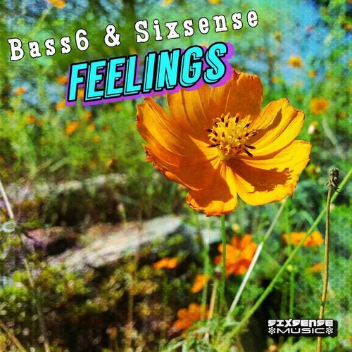 Feelings