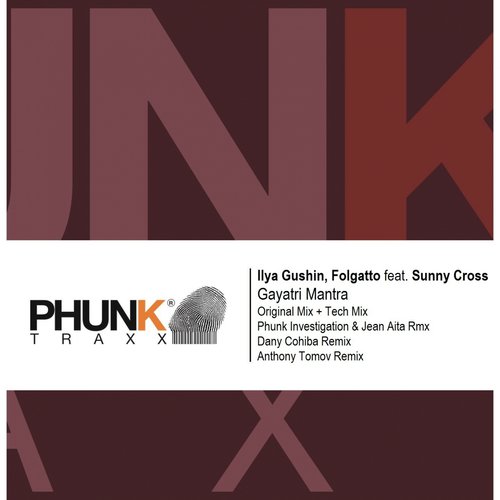 Gayatri Mantra (feat. Sunny Cross) (Phunk Investigation & Jean Aita Remix)