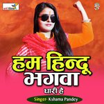 Ham Hindu Bhagwadhari Hain (Ram Bhajan)