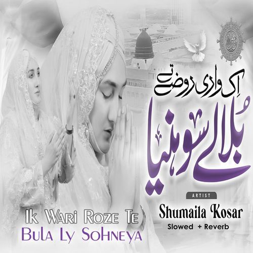 Ik Wari Roze te bula ly Sohneya (Lofi-Mix)