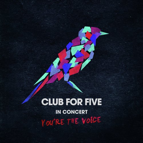 In Concert - You're The Voice