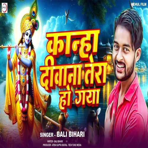 Kanha Diwana Tera Ho gaya