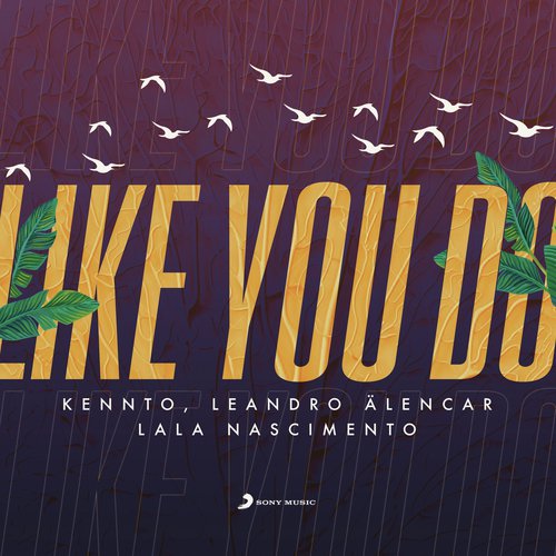 Like You Do_poster_image