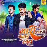 Mari Ladi Banaye Lav