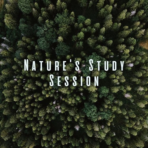 Study Zone cover art