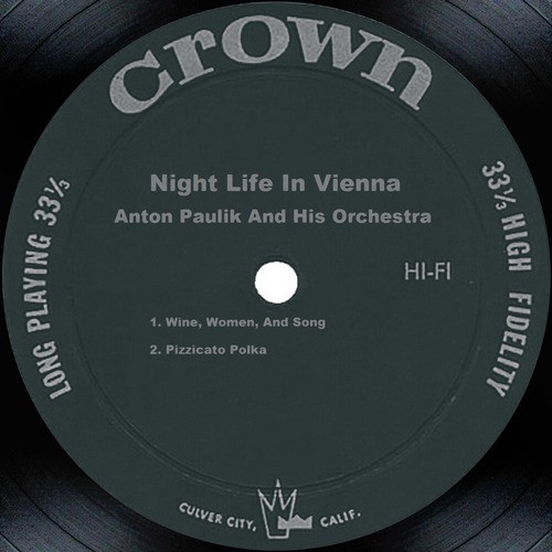Night Life In Vienna