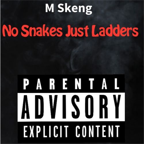 No Snakes Just Ladders