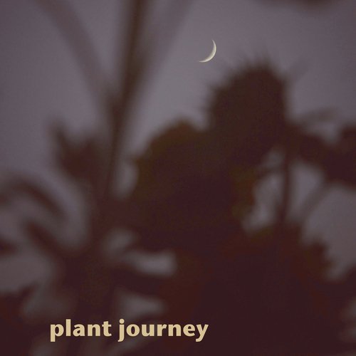 Plant Journey_poster_image