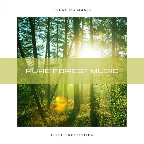 Pure Forest Music