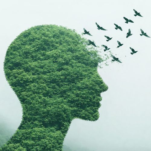 Light Breath cover art