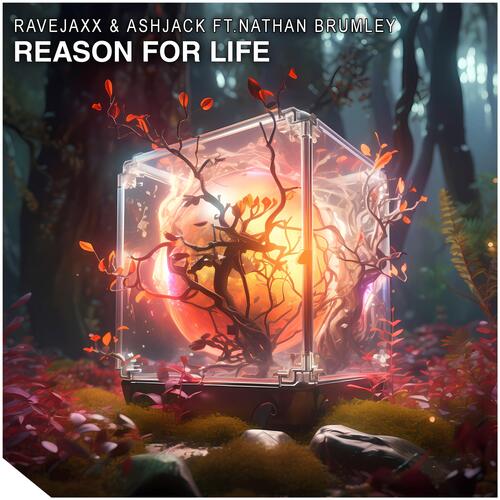 Reason For Life (feat. Nathan Brumley)_poster_image