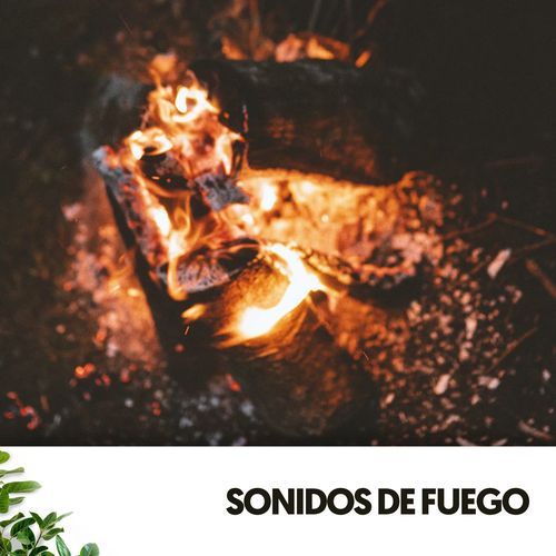 Sonidos de Fuego: Melodías ardientes en la noche_poster_image