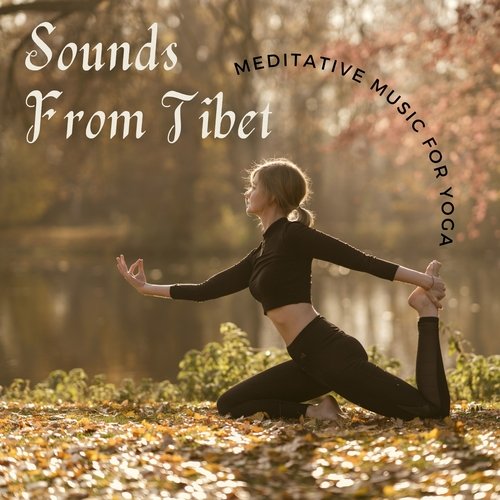 In the Lotus Pose