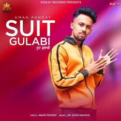 Suit Gulabi-CR05A0xYAQY