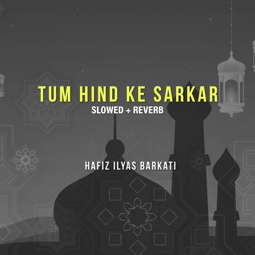 Tum Hind Ke Sarkar (Lofi-Mix)