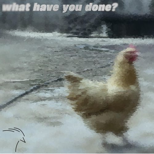 what have you done