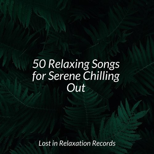 50 Relaxing Songs for Serene Chilling Out