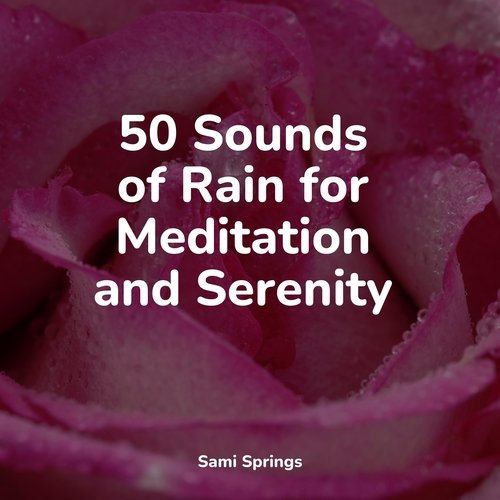 50 Sounds of Rain for Meditation and Serenity