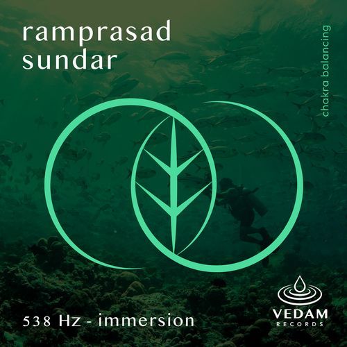 538 Hz - Immersion