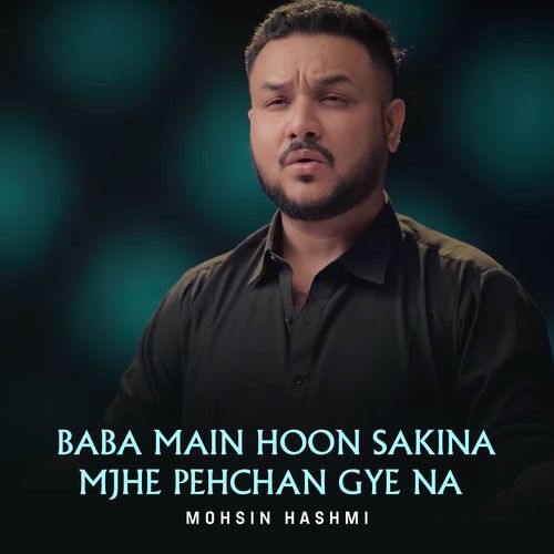 Baba Main Hoon Sakina Mjhe Pehchan Gye Na