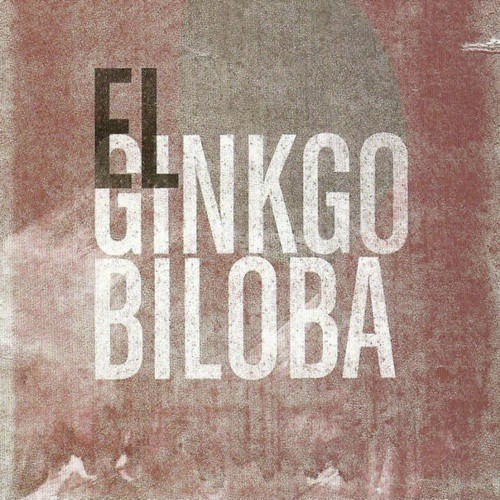 El Ginkgo Biloba