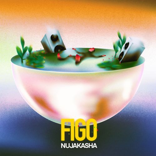 FIGO (Livesession) cover art