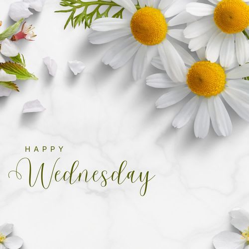 Happy Wednesday