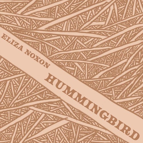 Hummingbird cover art