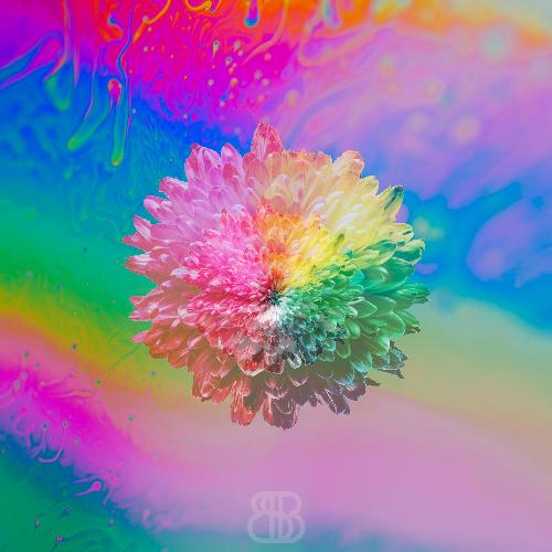 KAMIKAZEE cover art