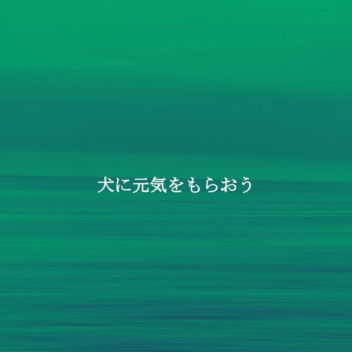 犬に元気をもらおう