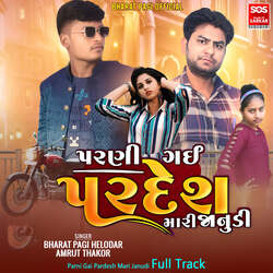 Parni Gai Pardesh Mari Janudi Full Track-Mg8Zdy5SRgU